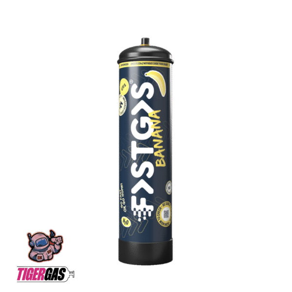NEU FastGas Sahnekapsel Banane 670g – Bild 2