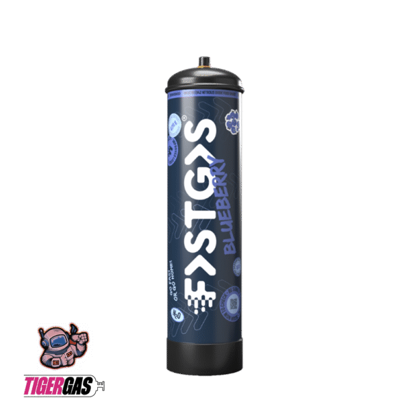 NEU FastGas Sahnekapsel Blaubeere 670g – Bild 2