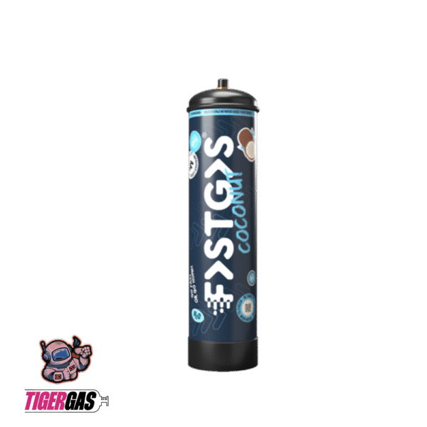 NEUE FastGas Gemischte Geschmacksrichtungen Box – 670g – Bild 2