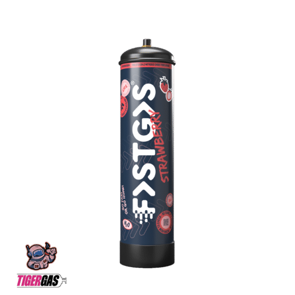 NEUER LOOK FastGas Sahnekapsel Erdbeere 670g