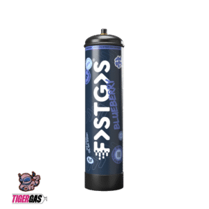 NEU FastGas Sahnekapsel Blaubeere 670g