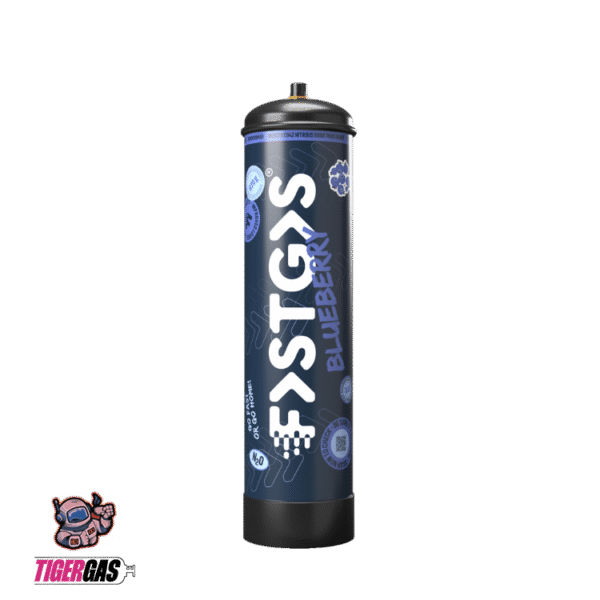 NEU FastGas Sahnekapsel Blaubeere 670g