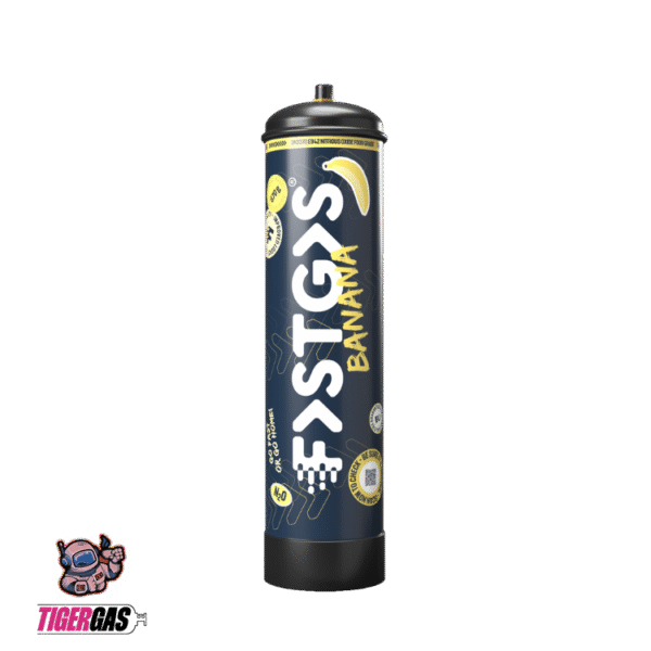 NEU FastGas Sahnekapsel Banane 670g