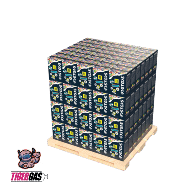 NEUE FastGas Gemischte Geschmacksrichtungen Box – 670g – Bild 9