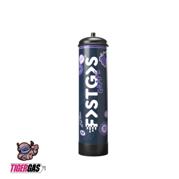 NEUE FastGas Gemischte Geschmacksrichtungen Box – 670g – Bild 5