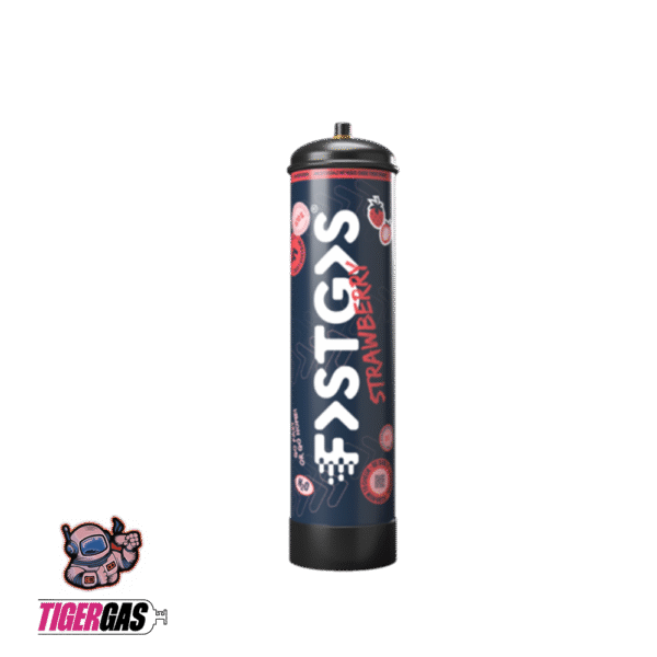 NEUE FastGas Gemischte Geschmacksrichtungen Box – 670g – Bild 6