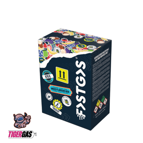 NEUE FastGas Gemischte Geschmacksrichtungen Box – 670g – Bild 8