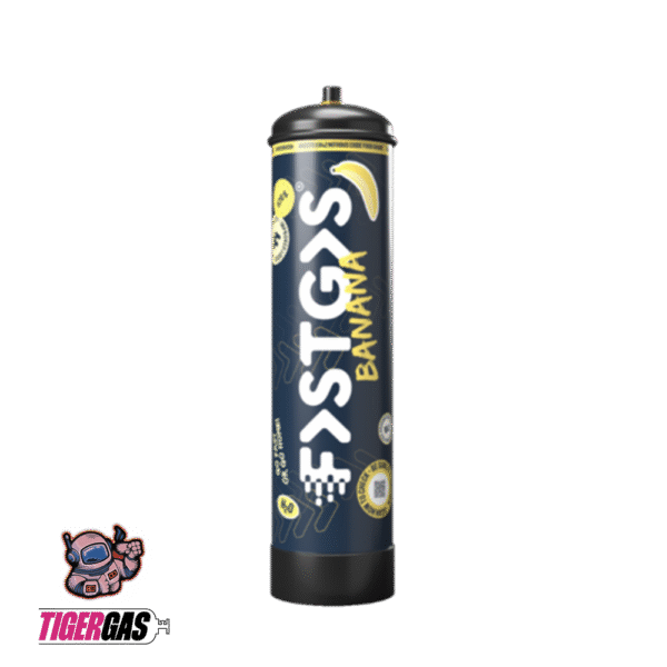 NEUE FastGas Gemischte Geschmacksrichtungen Box – 670g – Bild 7